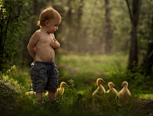 五行缺金小绵羊的名字