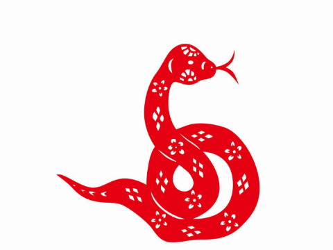 为什么说蛇遇到鸡，蛇和鸡合作会怎么样