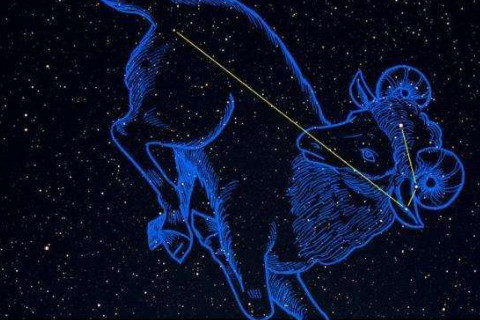 2020年最繁华的星座