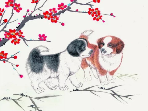 阴历哪个月母狗生得不好