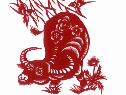 1973年出生的人命运如何