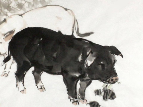 属于猪的女性性格和爱情观