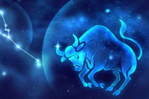 2019年下半年，你会有一个优秀的星座