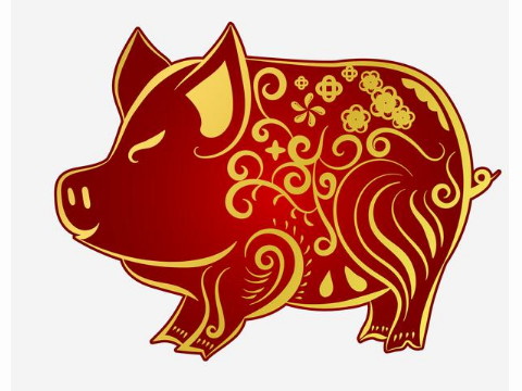 1995年，这是猪交配的禁忌