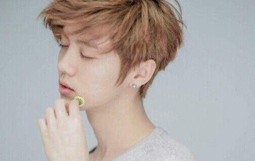 鹿晗分析了鹿晗的另一半