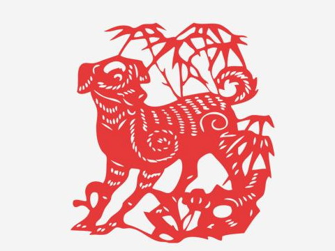 1970年，他还是一只狗。2021年他多大了