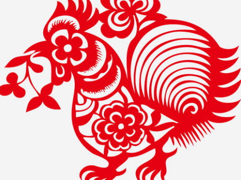 鸡穿什么最吉利