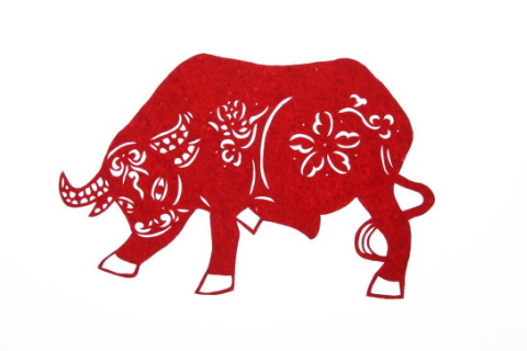 2020年最红火的生肖在2020年有大财运