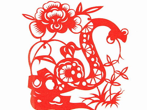 蛇是什么时候出生的?今年多大了?2021