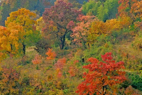 财富八字很会把握赚钱的机会