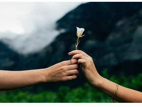 兔子和鸡的婚姻怎么样