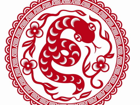 蛇穿什么来提高运气