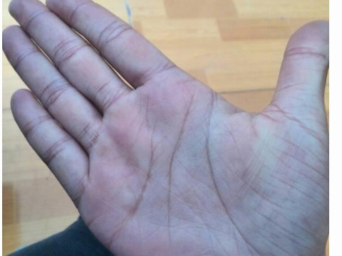 你的手掌有多有钱多贵？什么样的棕榈可以既有钱又贵