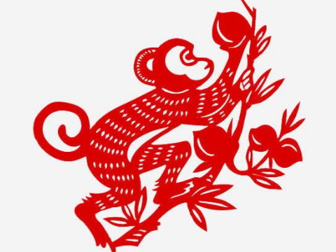 猴女适合做什么工作