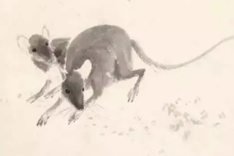 2020年农历几月对老鼠好