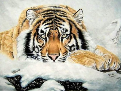 1998年虎妞的人生命运