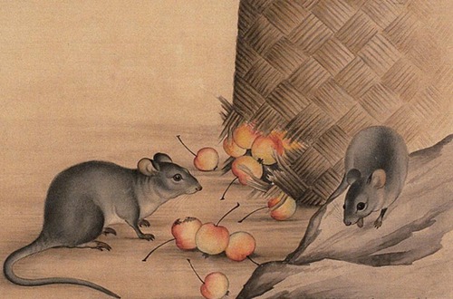 2015年李居明的羊年是鼠年