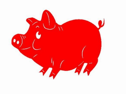 1995属猪的命运与婚姻