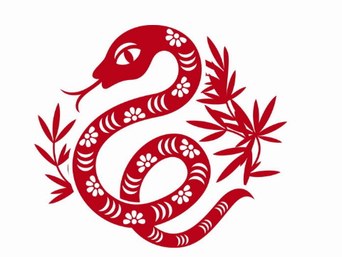 什么是蛇的最佳搭配，什么是蛇的最佳搭配