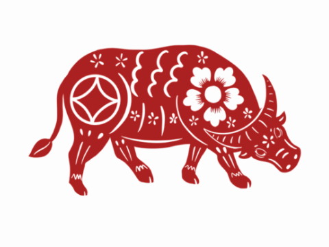 2021年不能结婚的生肖