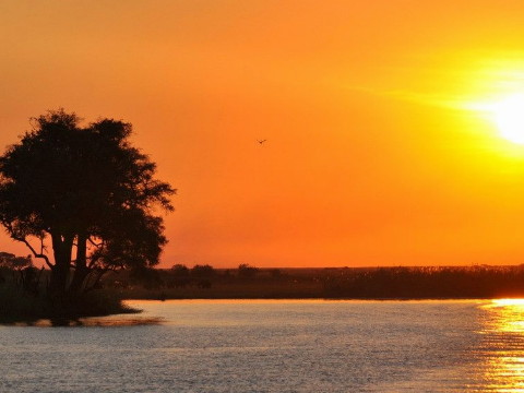 什么八字女人旺夫