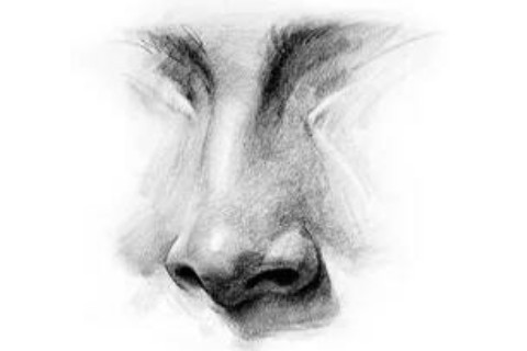 什么样的鼻子是富鼻子