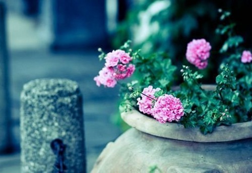 从名字的数量看性格