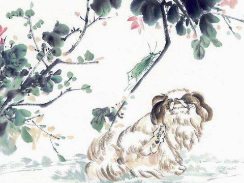 属于狗的男性性格和爱情观