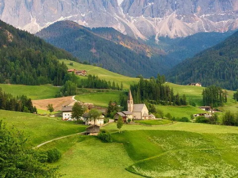 什么生活适合松柏结婚