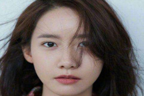 鸡和羊一起工作好吗