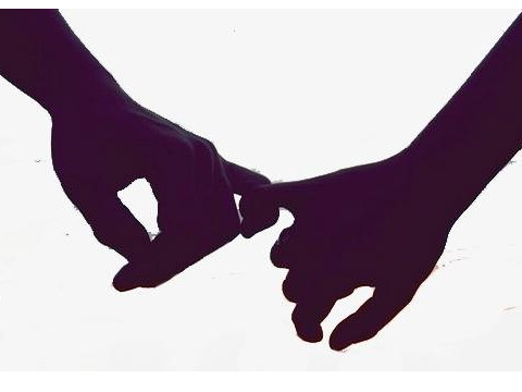 1992年的猴子和1995年的猪的婚姻会幸福吗