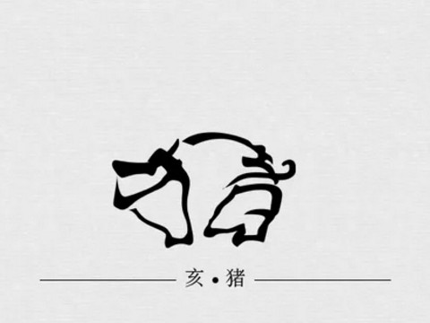 猪第三次出生的男孩命运如何