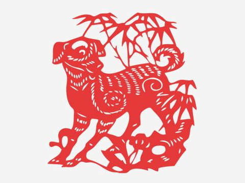 2006年出生。现在多大了？2006年出生的是什么生肖