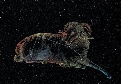 金牛座遇见白羊座