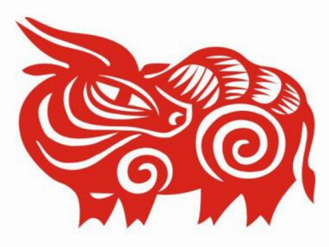 牛出生年份适合穿什么颜色的衣服