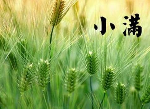小满节气知识