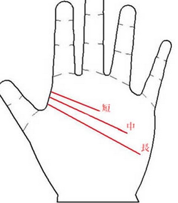 智慧线看适合自己的职业
