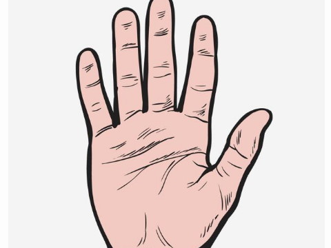 离婚手相 什么样的手相容易离婚