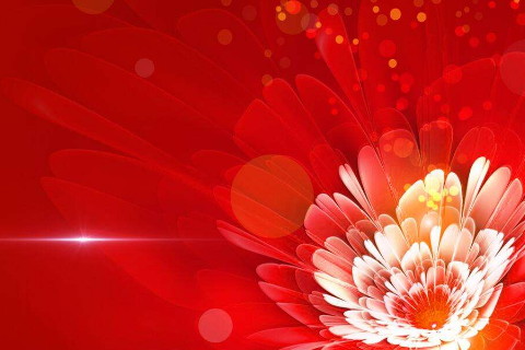 2020年运气不好怎么办