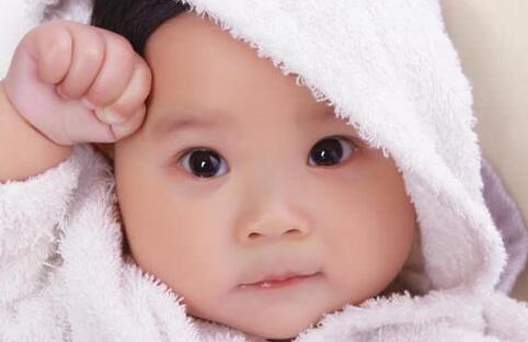 十二生肖女孩叫大全