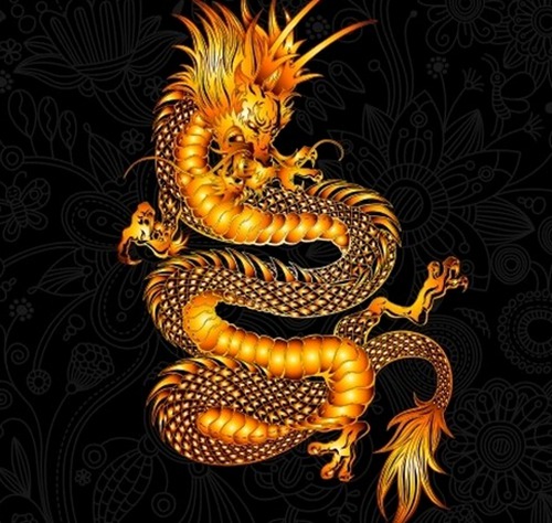 属龙的命运如何