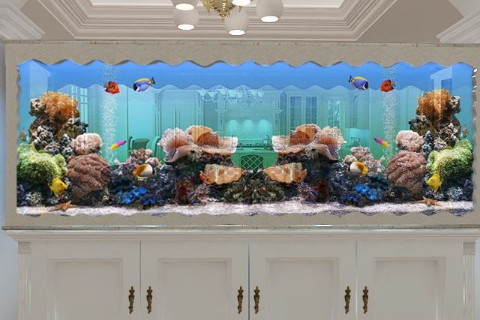 养鱼风水讲究多少养鱼好