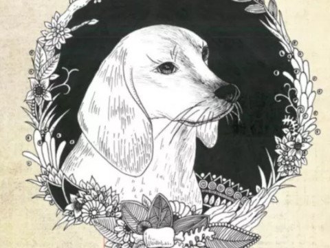 2021年戴狗的运势如何