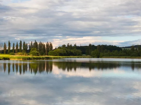 嫁给墙上的大林木，婚后幸福吗