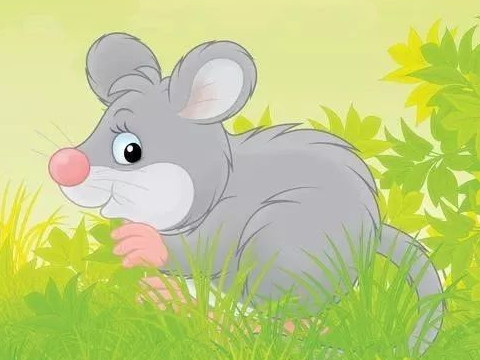 天生拥有富婆生活的女人