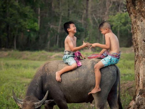 2019年1月7日命理分析