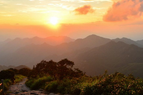 花年是几岁？花年是几岁