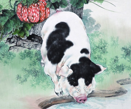 猪年宝宝是什么时候出生的？