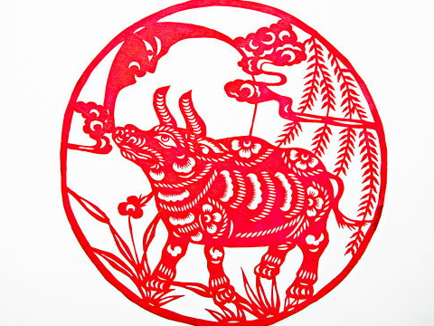 2021年牛年哪个月出生的宝宝？