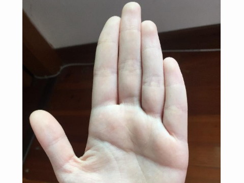 女性右手断掌手相图